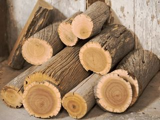 Gỗ đàn hương là gì? Giải đáp chi tiết liên quan